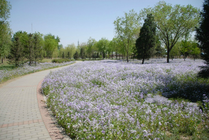 北京市朝陽區(qū)健生養(yǎng)老院