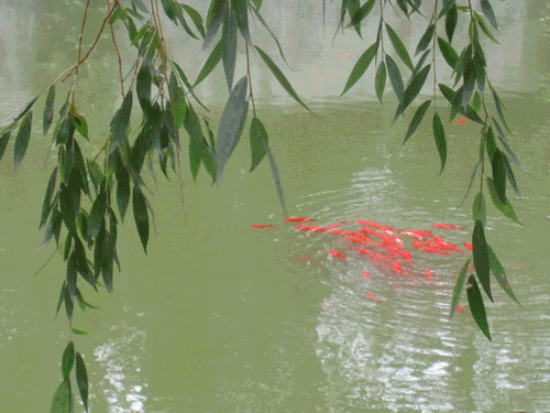 北京市昌平區(qū)隆華老年福利中心