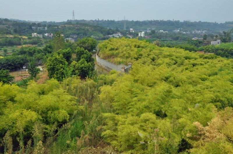 璧山區(qū)丁家養(yǎng)老院