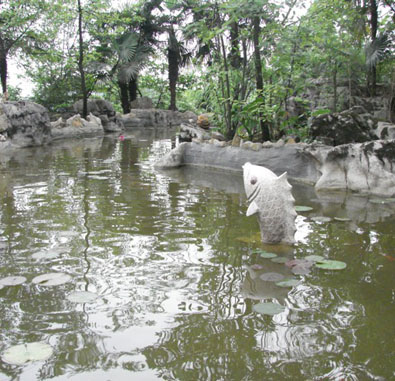 重慶市沙坪壩區(qū)頤養(yǎng)天生態(tài)養(yǎng)老公寓